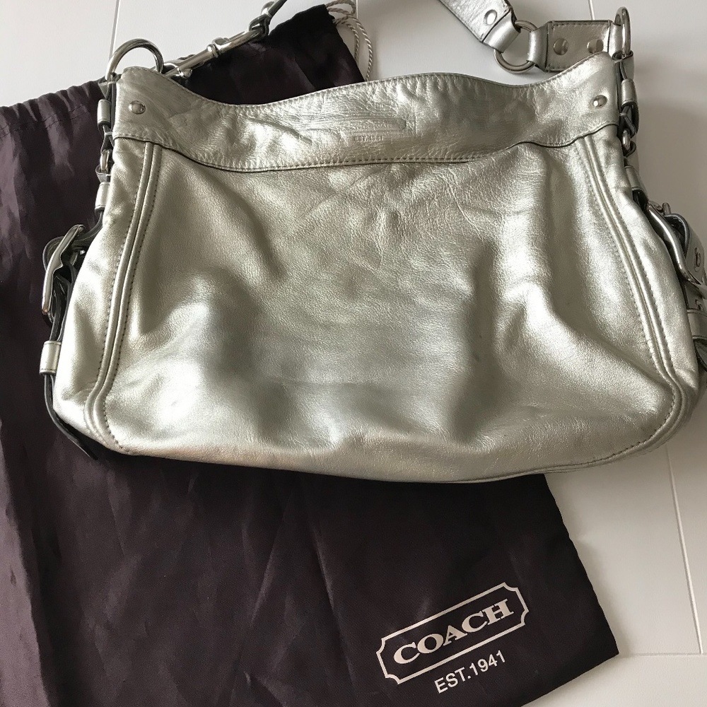 Coach: Zoe Metallic Leather Hobo Bag